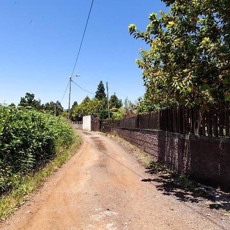 Chalet Pico Das Pedras Santana  Εξωτερικό φωτογραφία