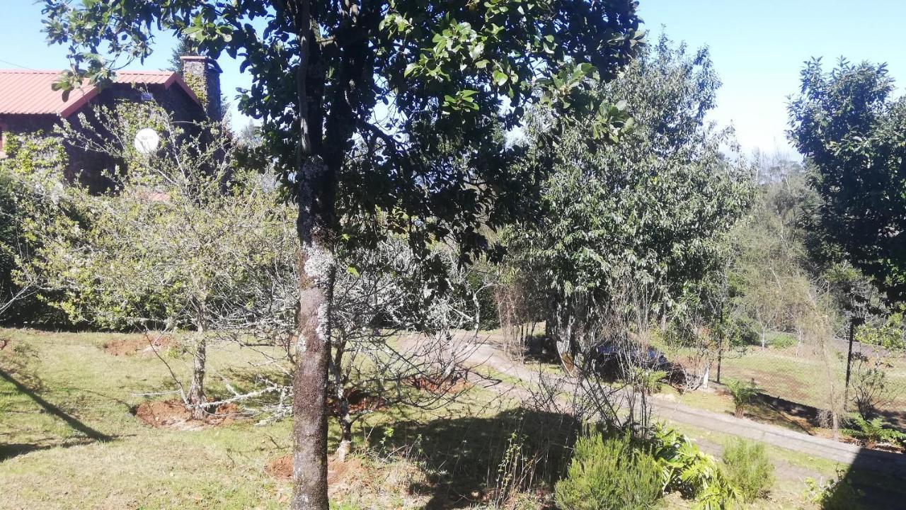 Chalet Pico Das Pedras Santana  Εξωτερικό φωτογραφία