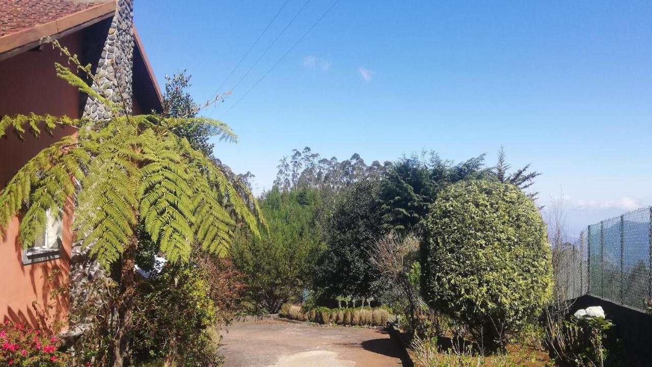 Chalet Pico Das Pedras Santana  Εξωτερικό φωτογραφία