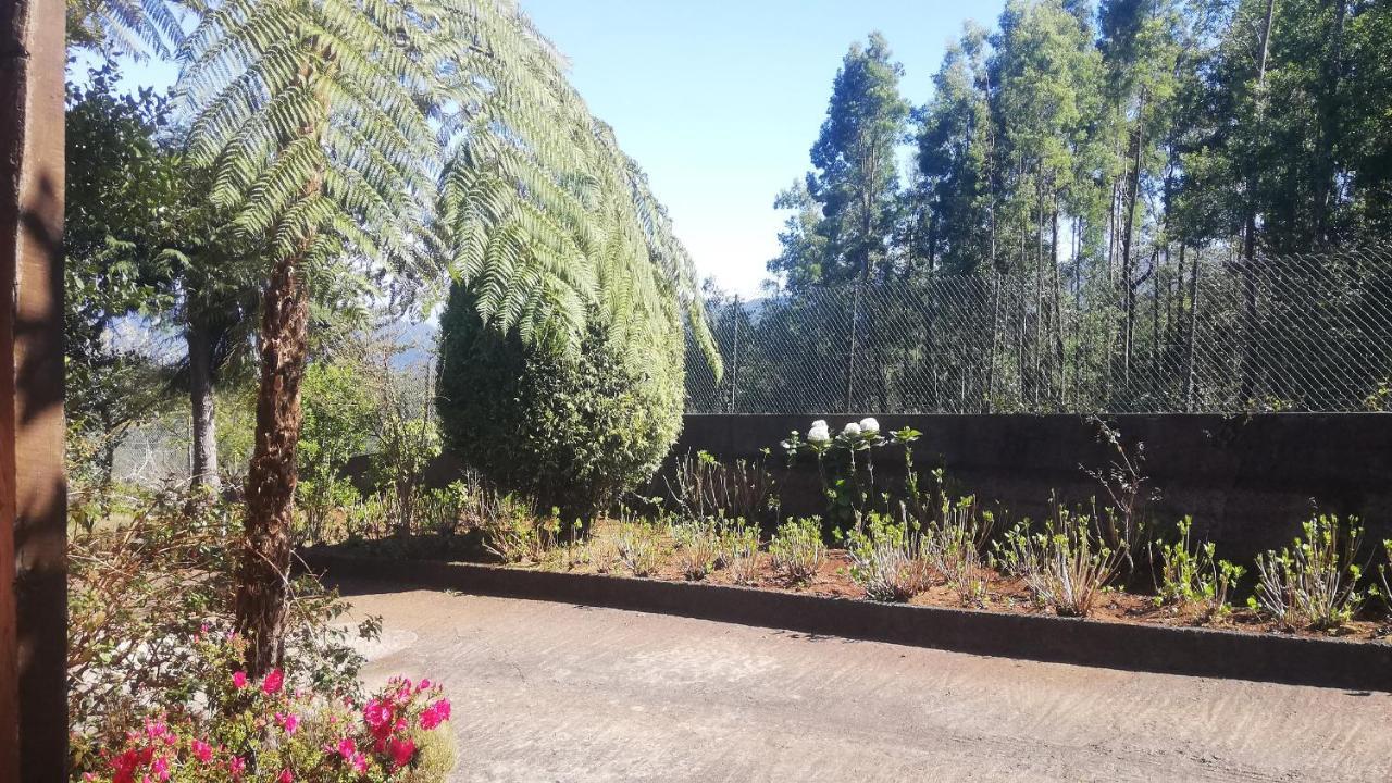 Chalet Pico Das Pedras Santana  Εξωτερικό φωτογραφία