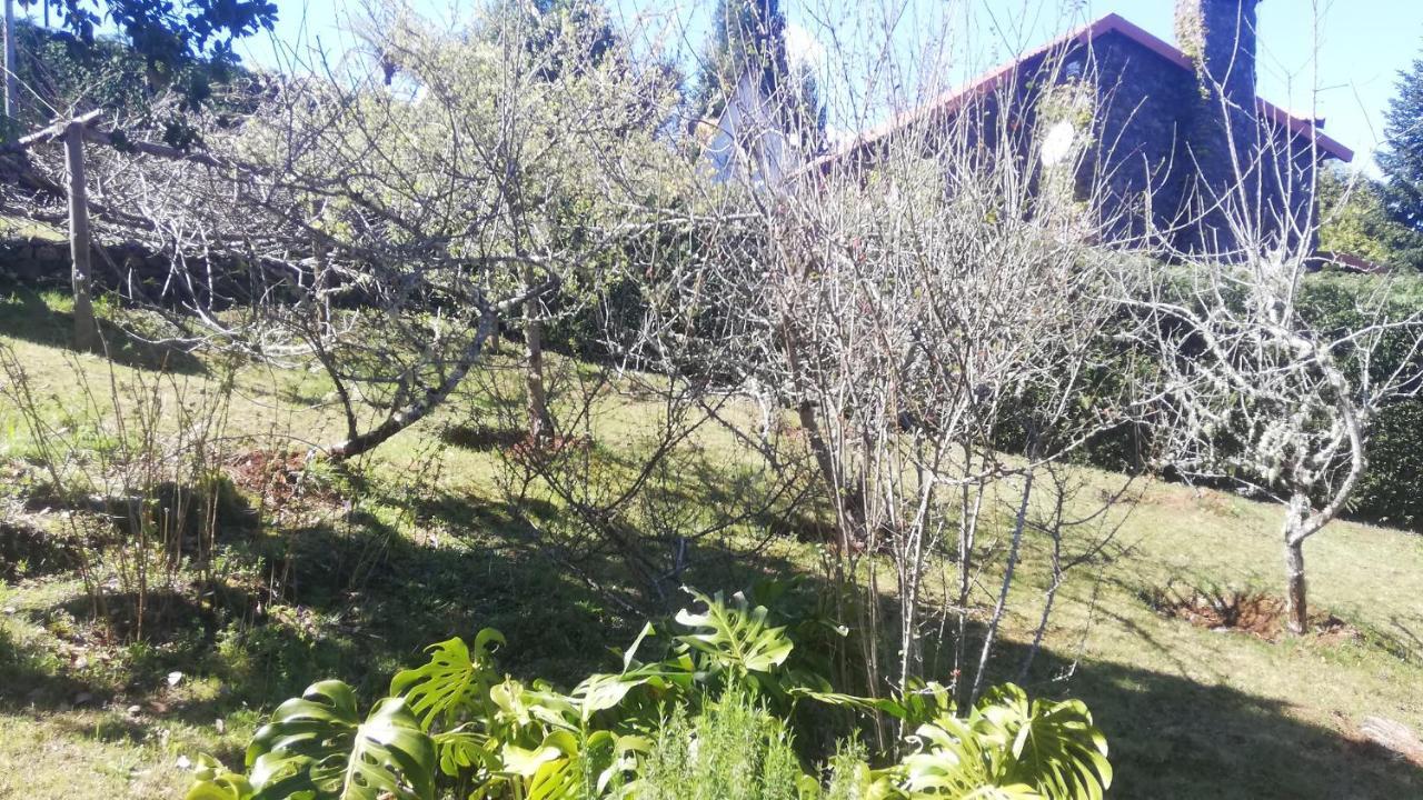 Chalet Pico Das Pedras Santana  Εξωτερικό φωτογραφία