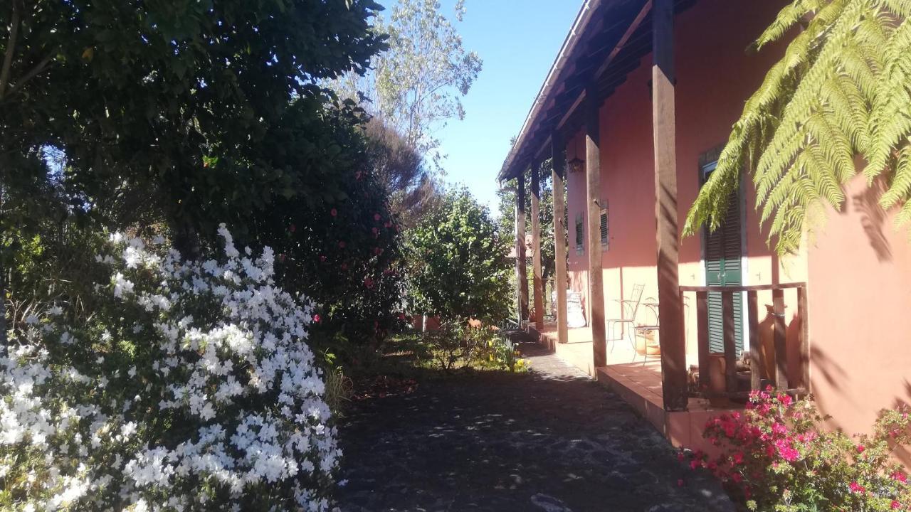 Chalet Pico Das Pedras Santana  Εξωτερικό φωτογραφία
