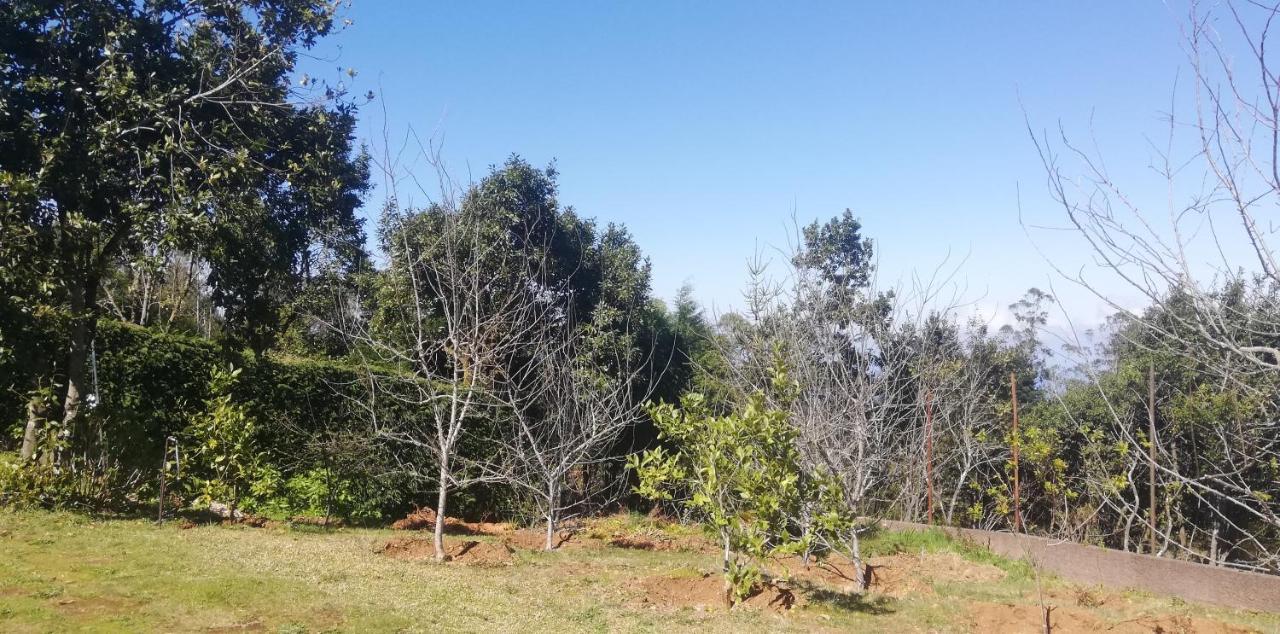Chalet Pico Das Pedras Santana  Εξωτερικό φωτογραφία