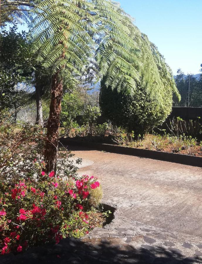 Chalet Pico Das Pedras Santana  Εξωτερικό φωτογραφία
