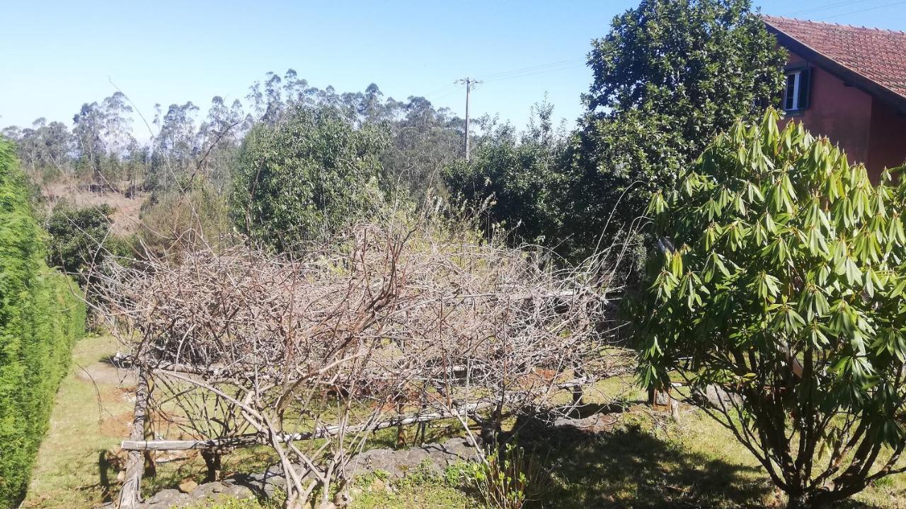Chalet Pico Das Pedras Santana  Εξωτερικό φωτογραφία