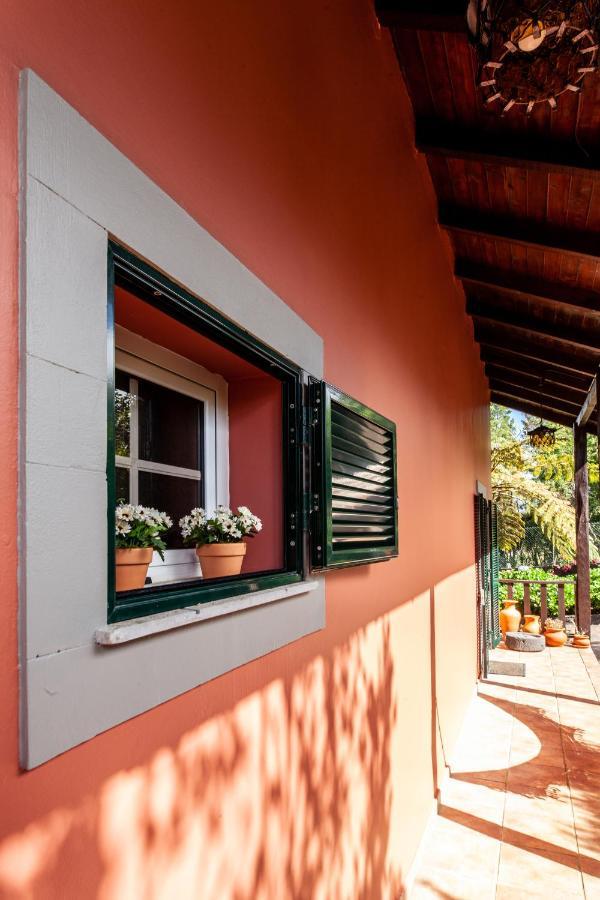 Chalet Pico Das Pedras Santana  Εξωτερικό φωτογραφία