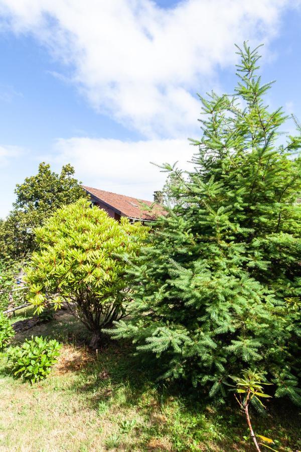 Chalet Pico Das Pedras Santana  Εξωτερικό φωτογραφία